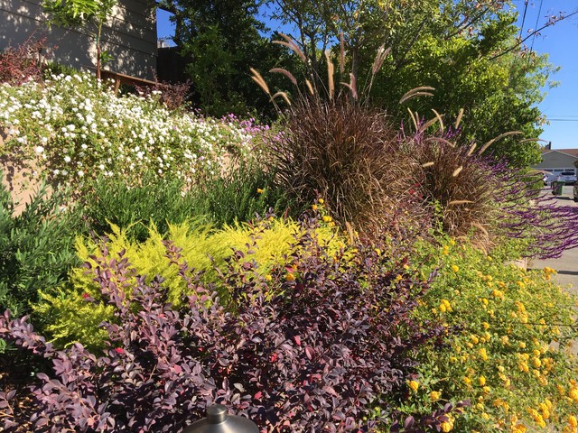 Overlap contemporary-garden