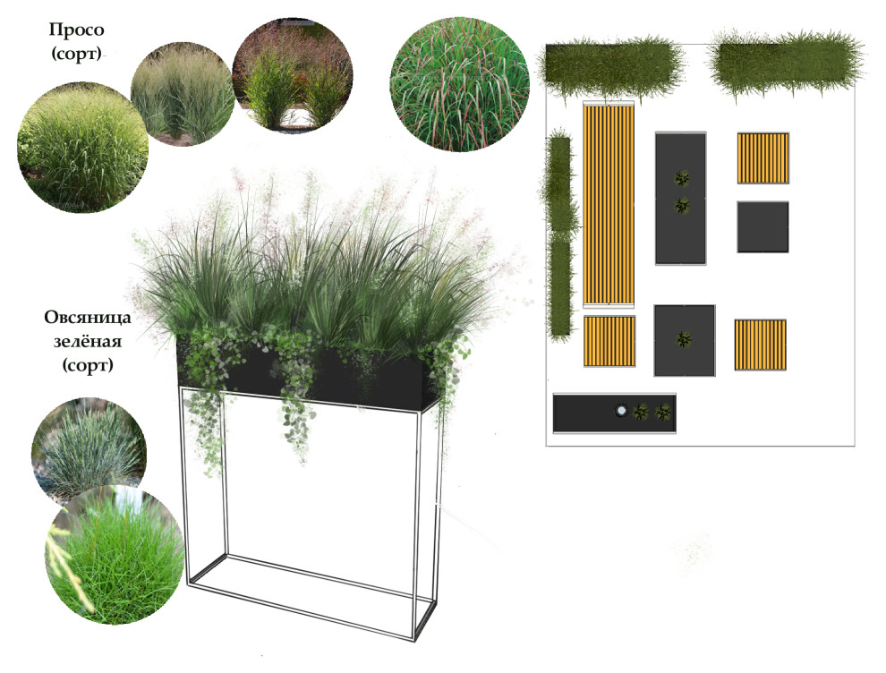 Озеленение летних веранд ресторанов