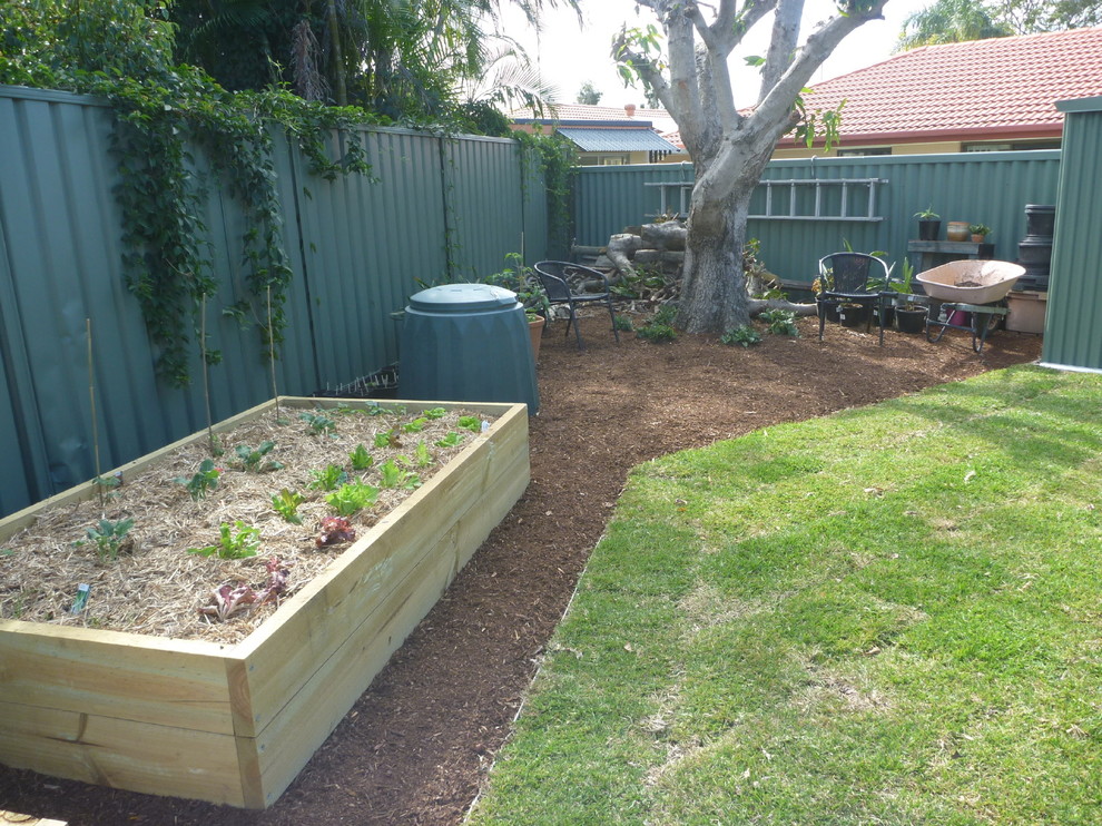 This is an example of a contemporary backyard full sun formal garden in Brisbane with a vegetable garden and mulch.