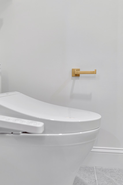 Whole Home Renovation transitional-bathroom