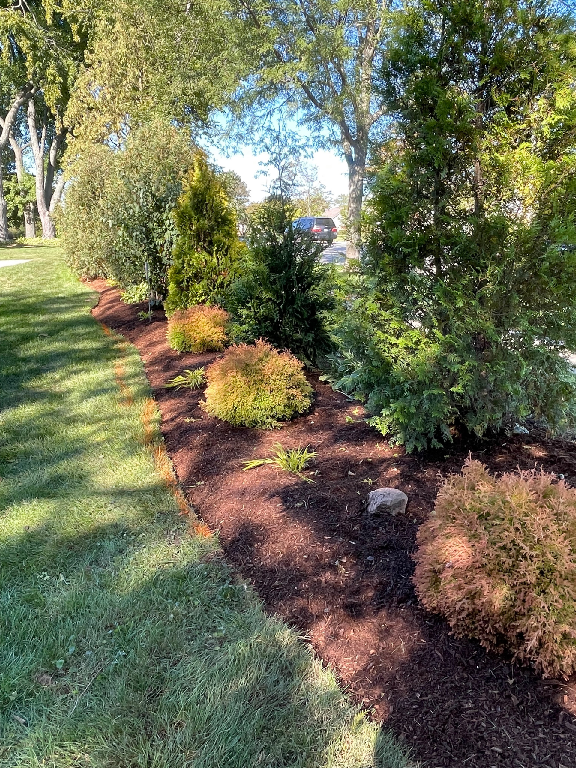 Privacy with Evergreens