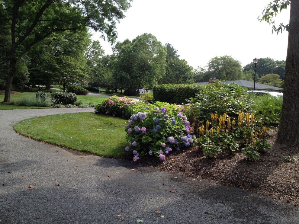Design ideas for a large transitional partial sun front yard mulch driveway in Baltimore for summer.
