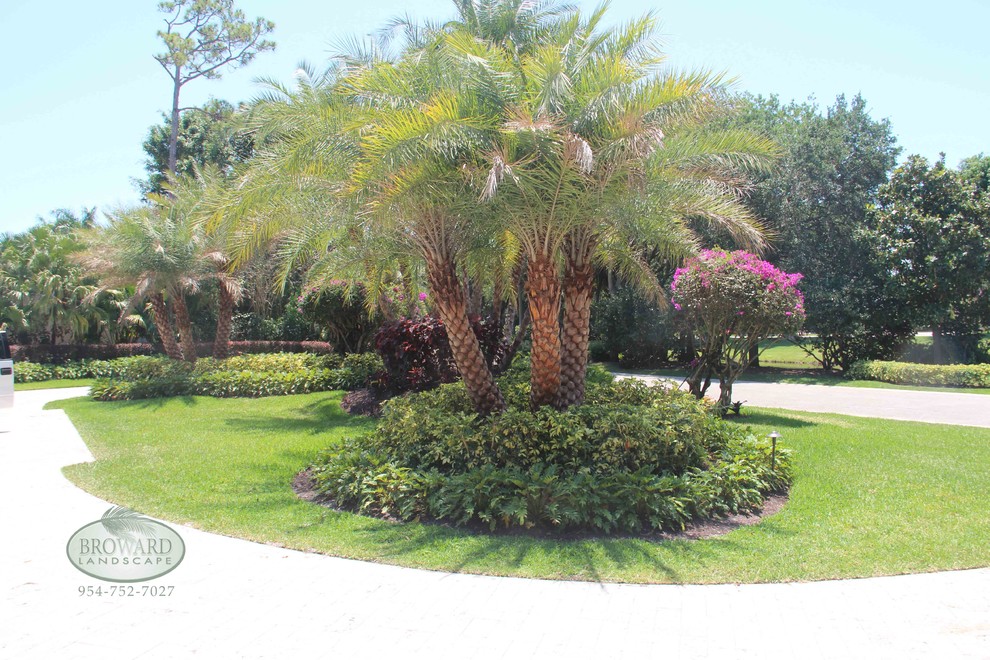 Large tropical front yard full sun garden in Miami with mulch.