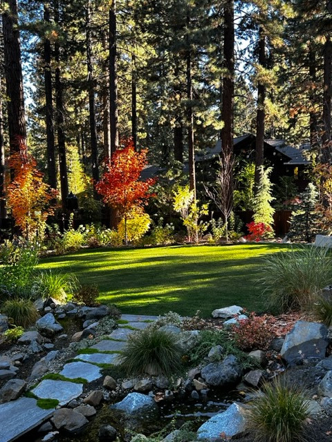 Tahoe Living