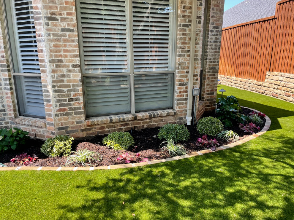 Back yard and pool landscape