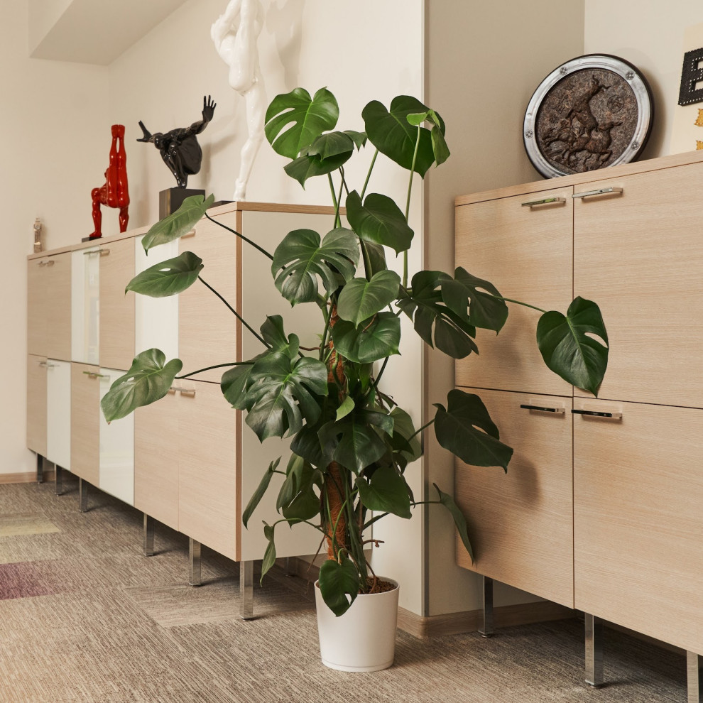 Озеленение офиса Endo Stars