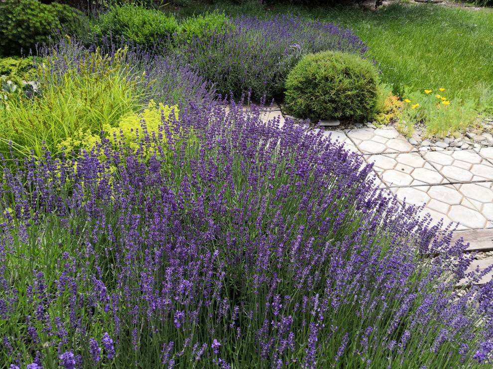 Маленький внутренний дворик