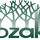 Bzak Landscaping & Maintenance