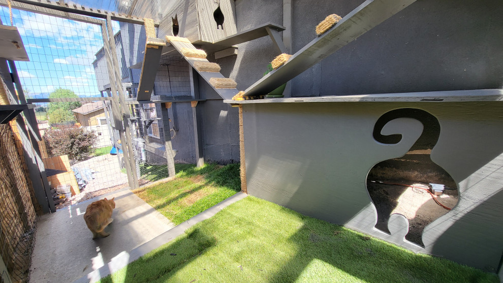 The Purr-fect Playground✨