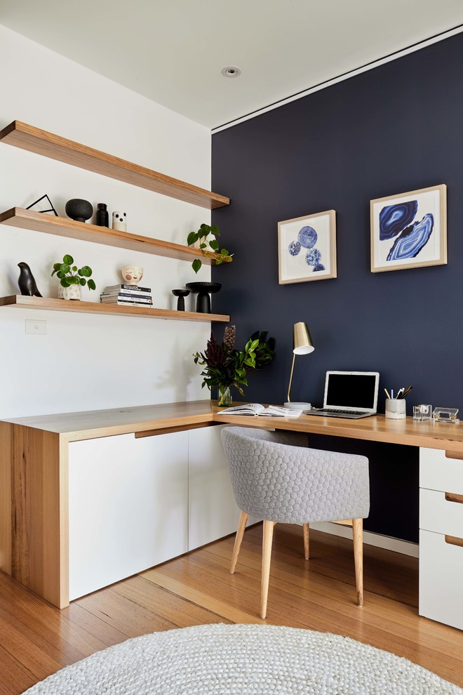 Inspiration for a mid-sized scandinavian study room in Melbourne with blue walls, light hardwood floors and a built-in desk.