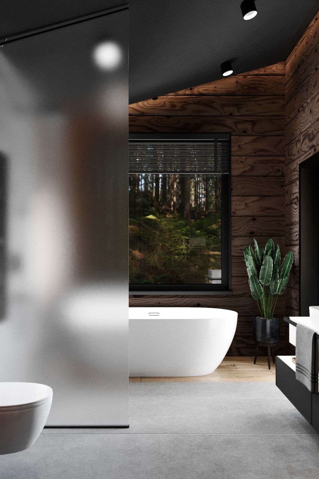 Проект дома в тульской области, село Богословское