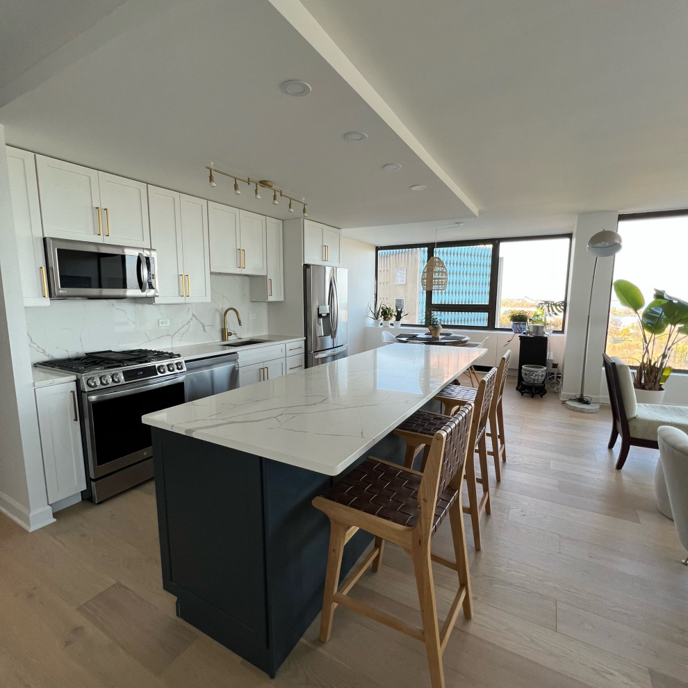 Transitional kitchen photo in Chicago