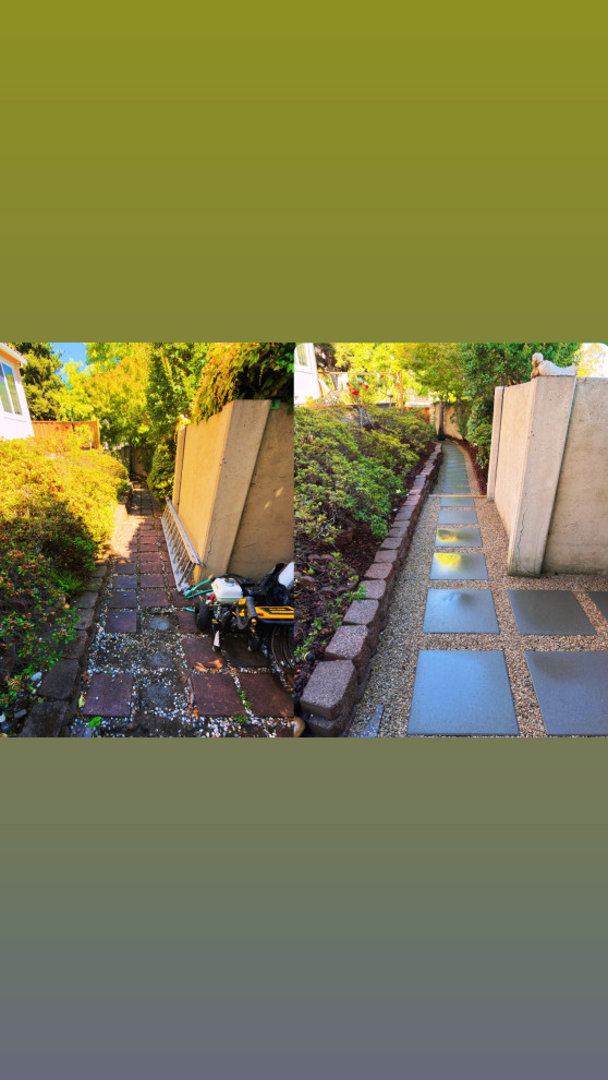 Complete Backyard & Landscape Renovation