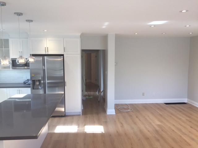 Complete Home Renovation Mississauga October 2017 (Before & After)