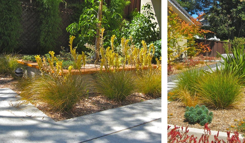 Inspiration for a small contemporary front yard full sun xeriscape for spring in San Francisco with with path and concrete pavers.