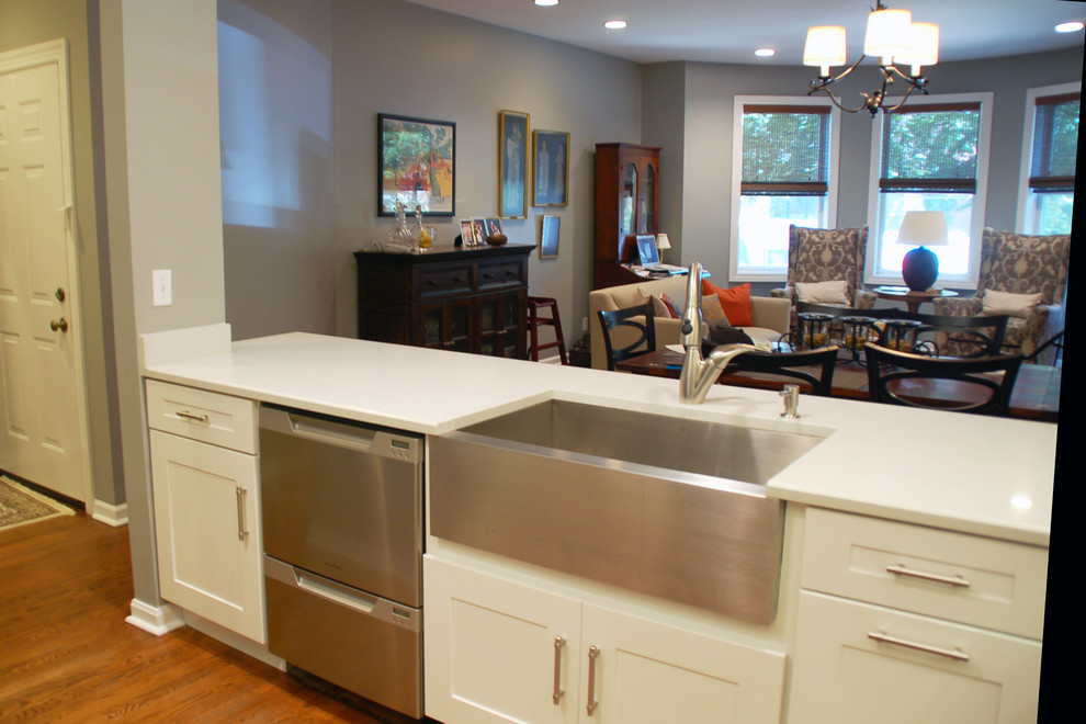 Kitchen - transitional kitchen idea in Chicago