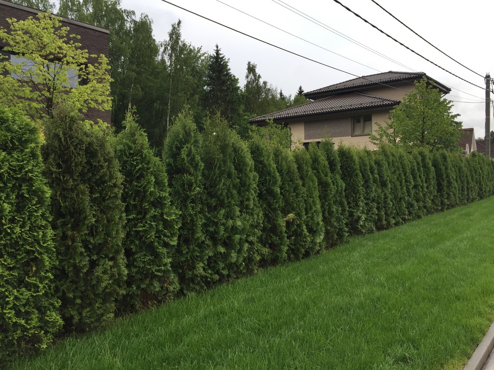 К/П Голицыно-9