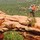 jennifer_cross26