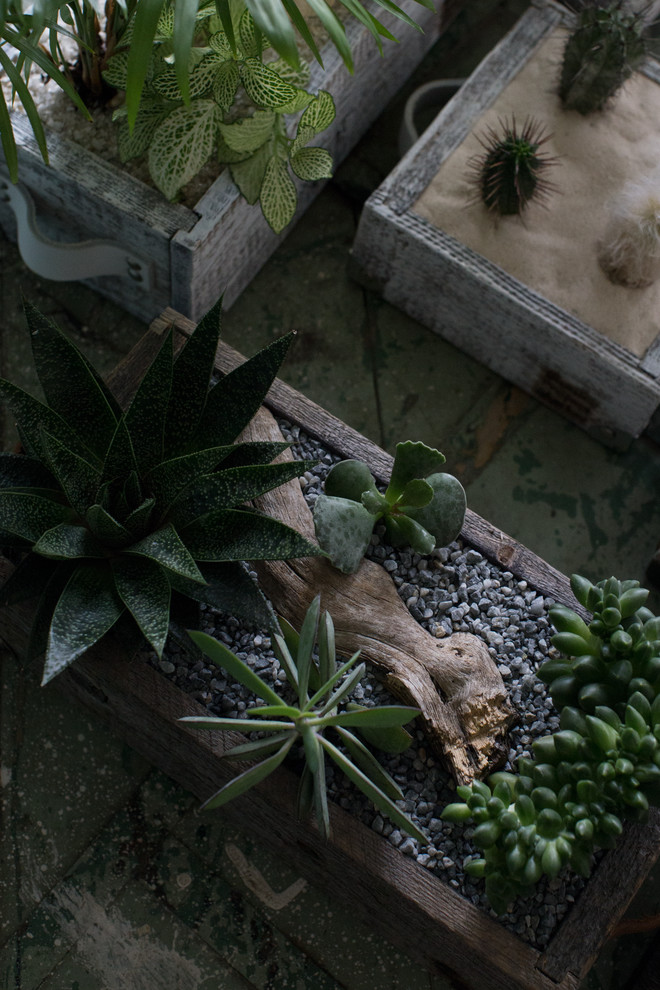 Bionica Project Market