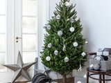 I Colori del Natale per i Pro: Le Palette per Albero e Tavola (6 photos) - image  on http://www.designedoo.it