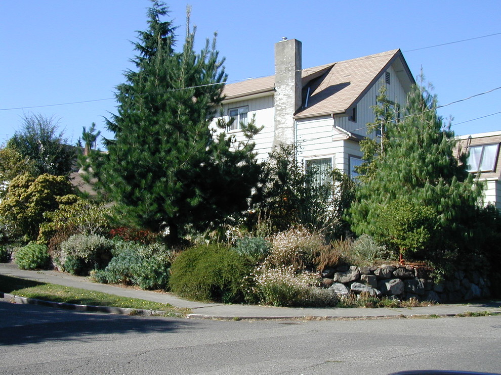 Photo of a mid-sized contemporary front yard full sun xeriscape for winter in Seattle with a garden path and mulch.