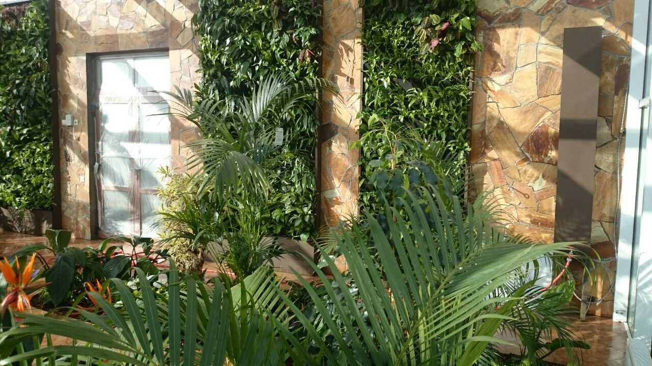 Зимний сад. Калининец