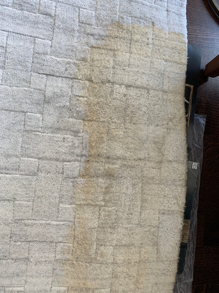Please help! 30 Viscose Rug Ruined after water cleaning