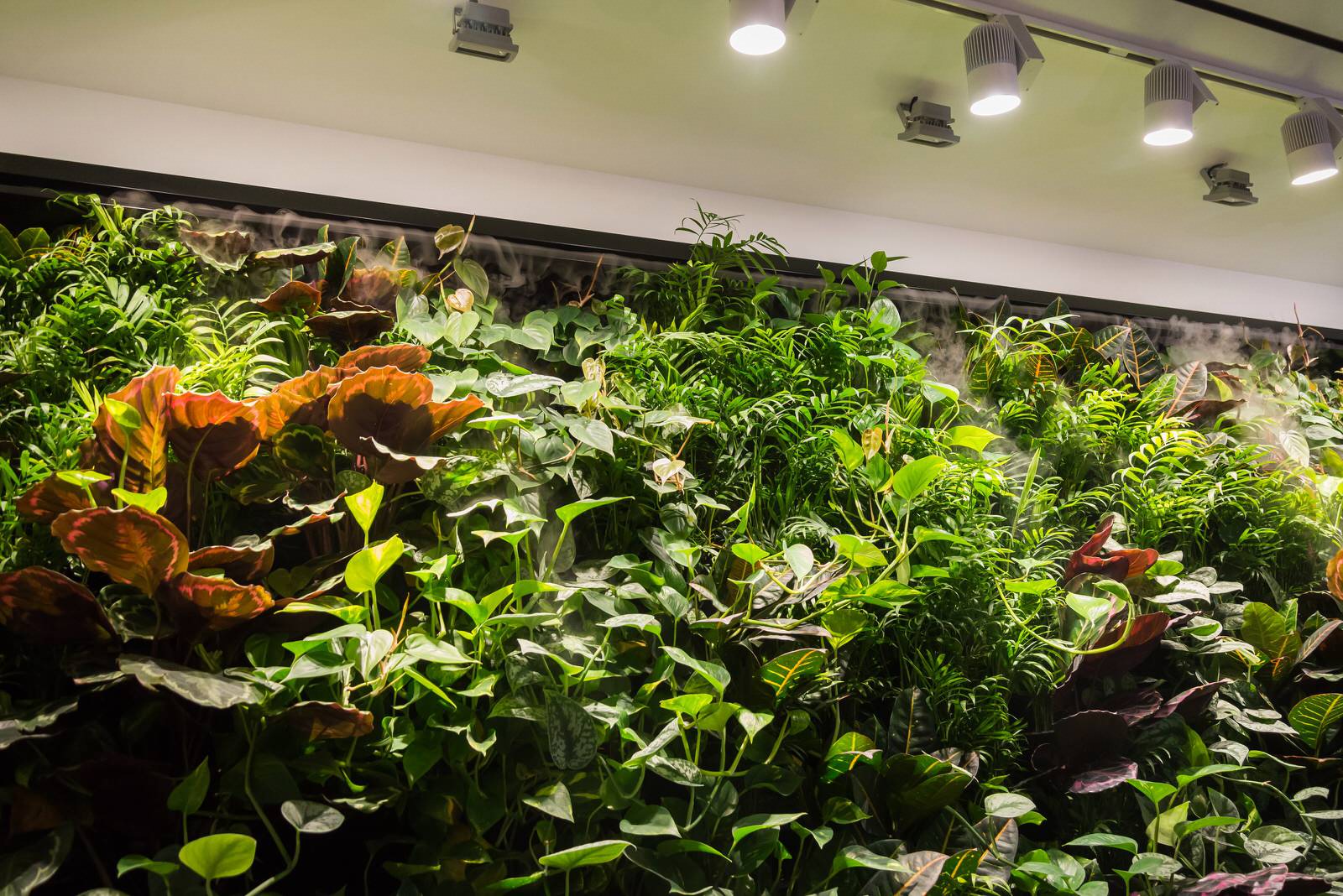 Частный 3-х этажный дом