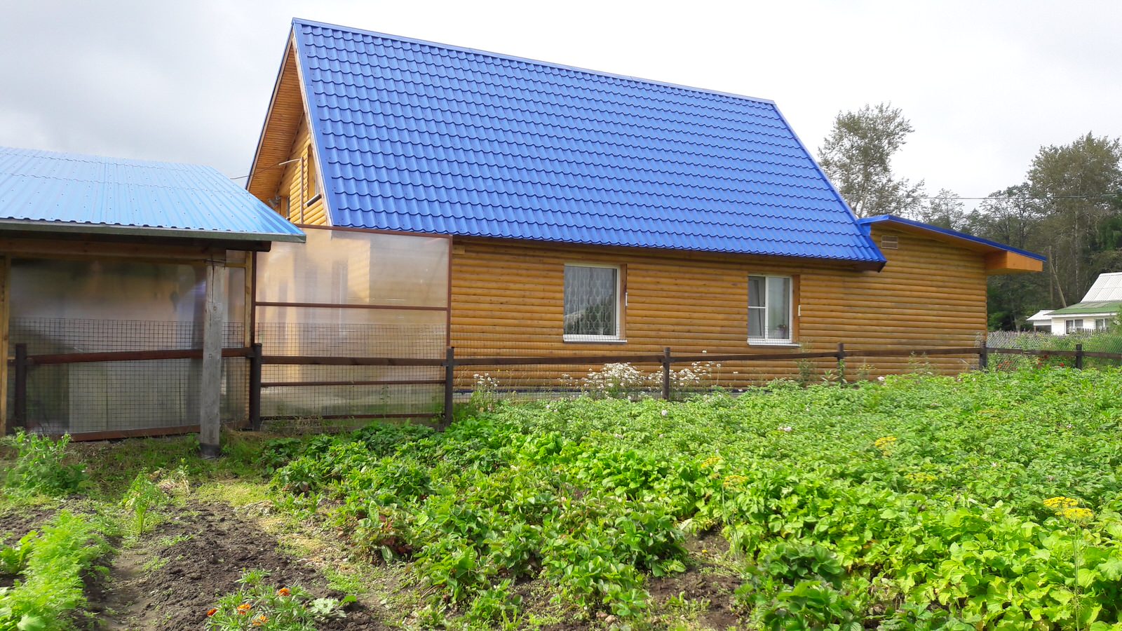 Фамильная усадьба: дом, баня, беседка, курятник