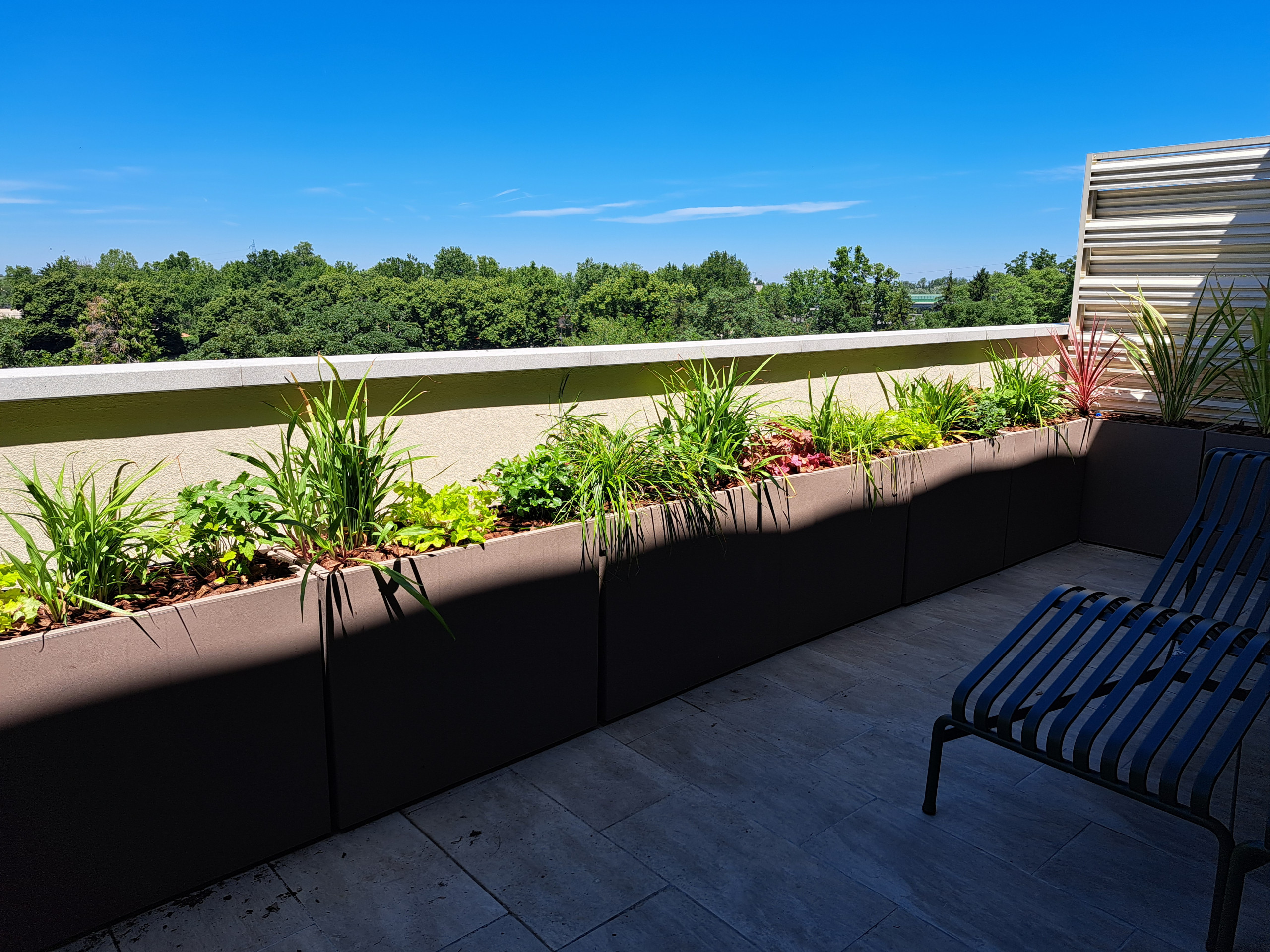 Realizzazione fioriere e vasi per un terrazzo sempreverde (o quasi)