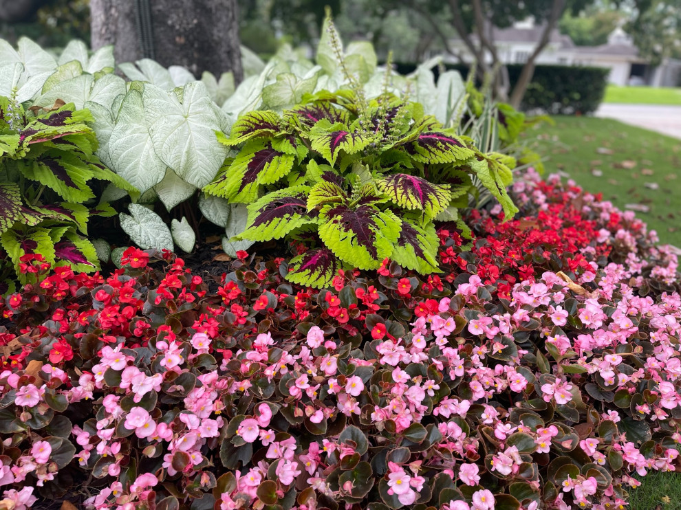 M Streets Floral Landscape & Outdoor Oasis