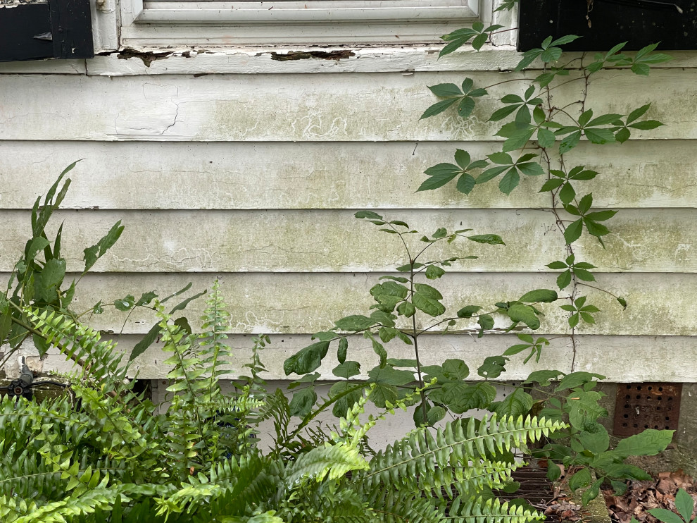 West- Barn Repair