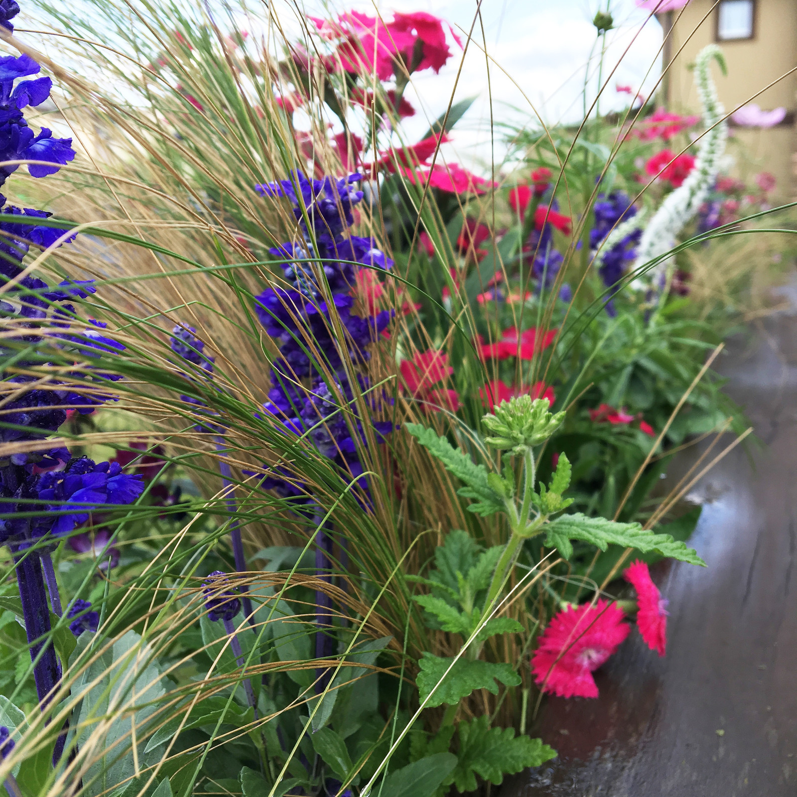 Терраса в Новых Вешках