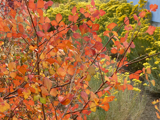 Ten Tips for Leaving a Garden 