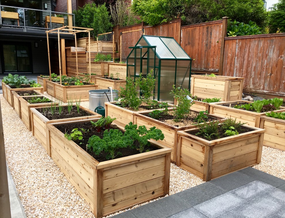 Design ideas for a large contemporary backyard full sun garden in Vancouver with a vegetable garden and gravel.