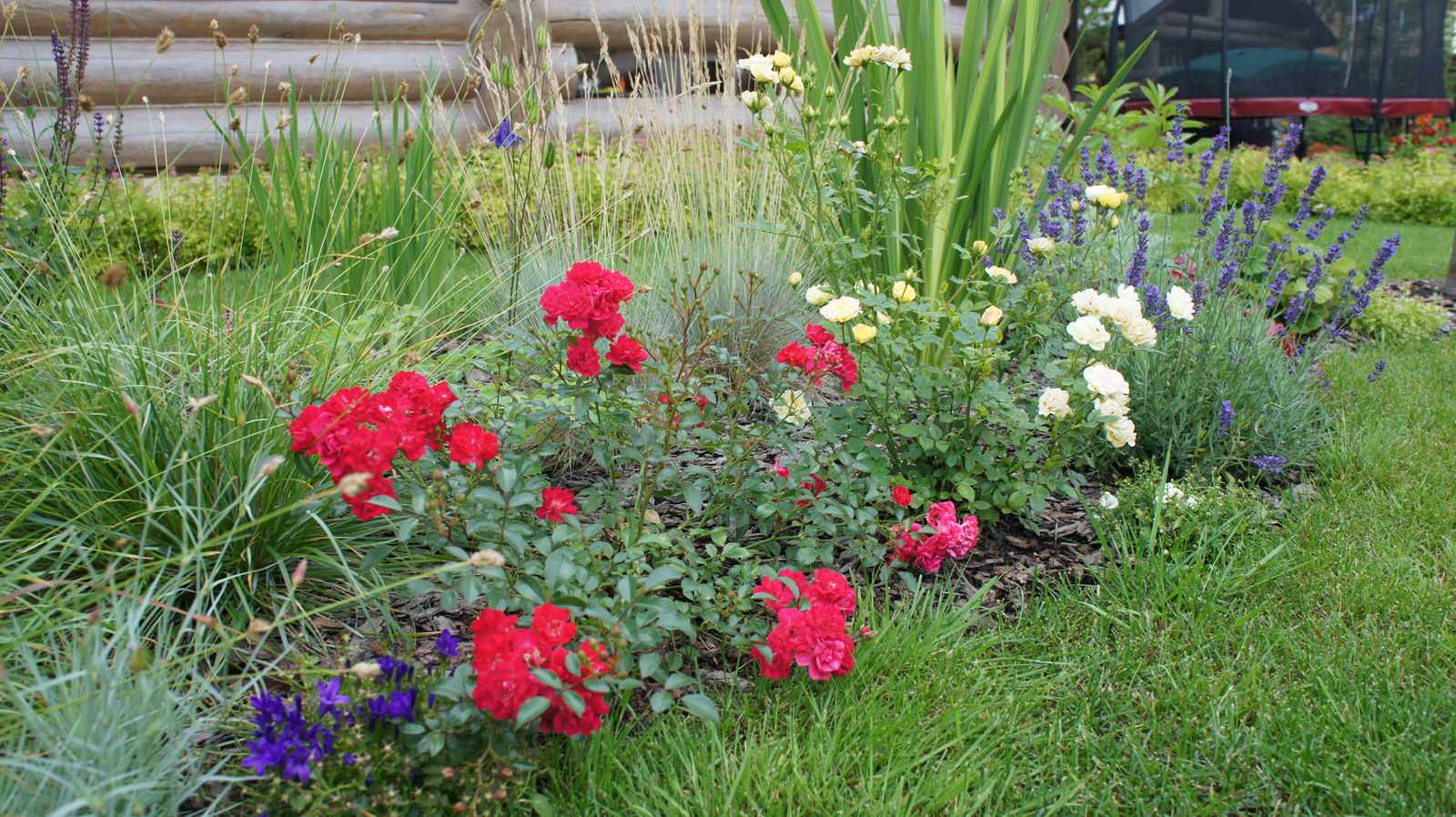 Прохорово лето 2017