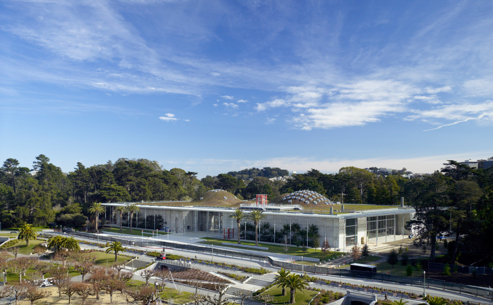 Calofornia Academy of Sciences, San Francisco, CA (with RPBW)