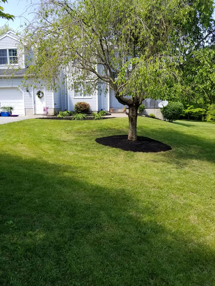 Landscaping projects
