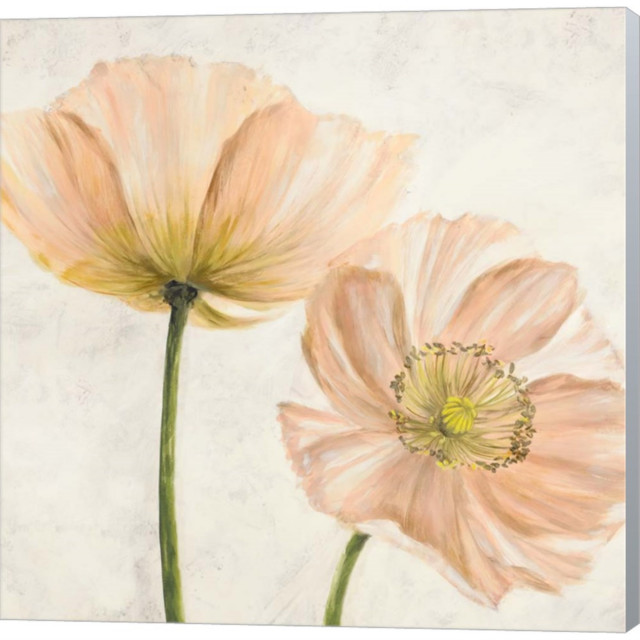 Poppies Pink Ii By Luca Villa Canvas Wall Art 12wx12h Contemporary Prints And Posters By Virventures