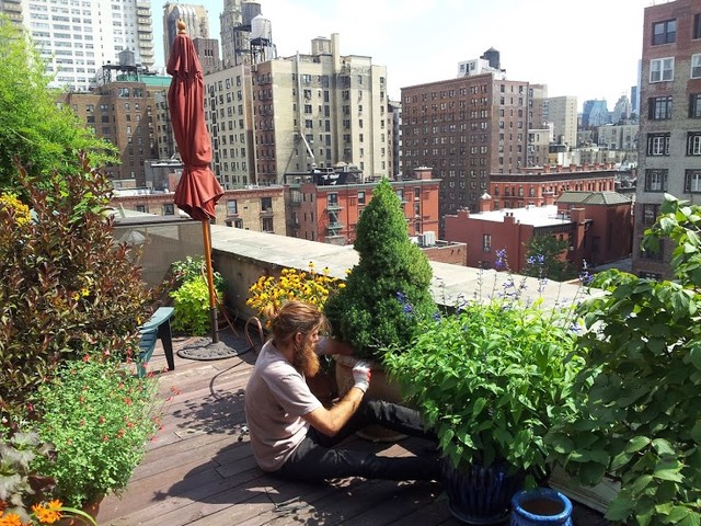 Nyc Manhattan Penthouse Rooftop Garden Drip Irrigation Company Ny