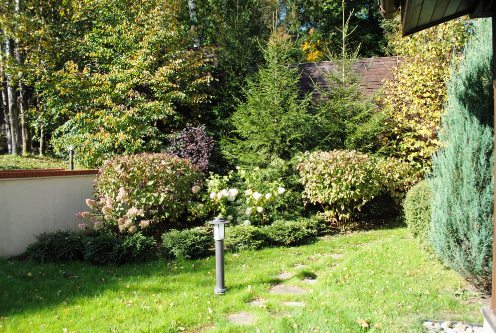 Осенний лес.Дмитровское шоссе