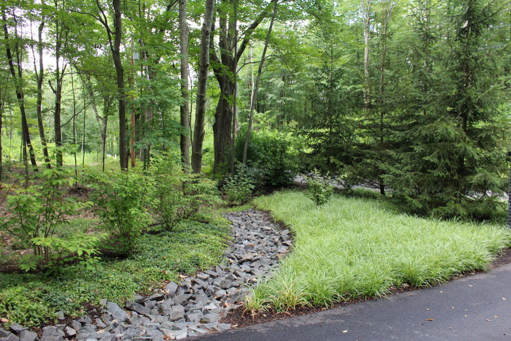 sedges used along rip rap gravel bed