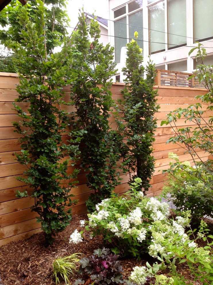 Photo of a mid-sized rustic shade backyard stone outdoor basketball/tennis/multi-game court in Toronto.