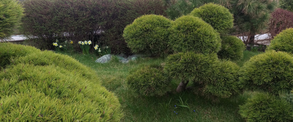 Большой сад на крыше