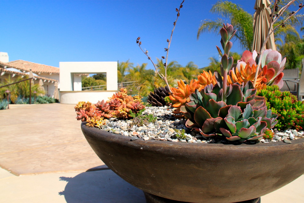 Photo of a mediterranean garden in San Luis Obispo.