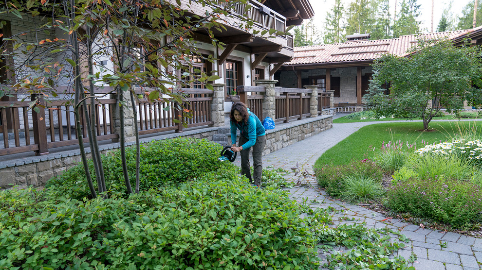 Мечта об Альпах. КП "Вымпел", Новорижское шоссе. 2017 г.