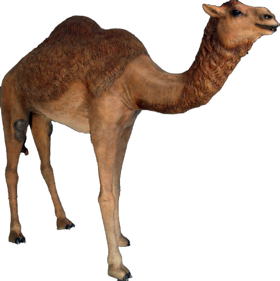 life size camel statue