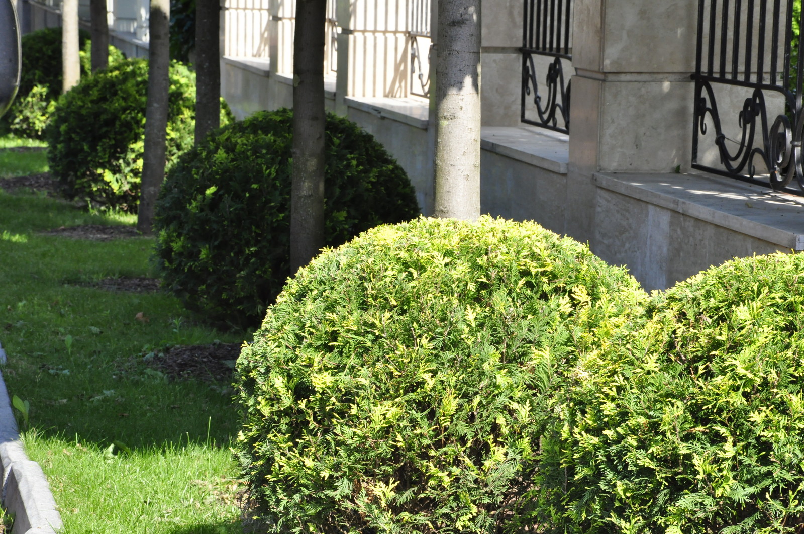 кп "Романово" - Уход за садом - 100% качество