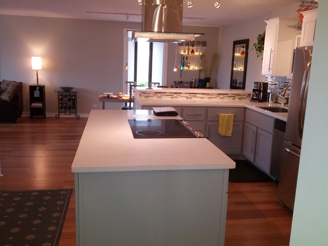Riverfront Condo klassisch-modern-kueche