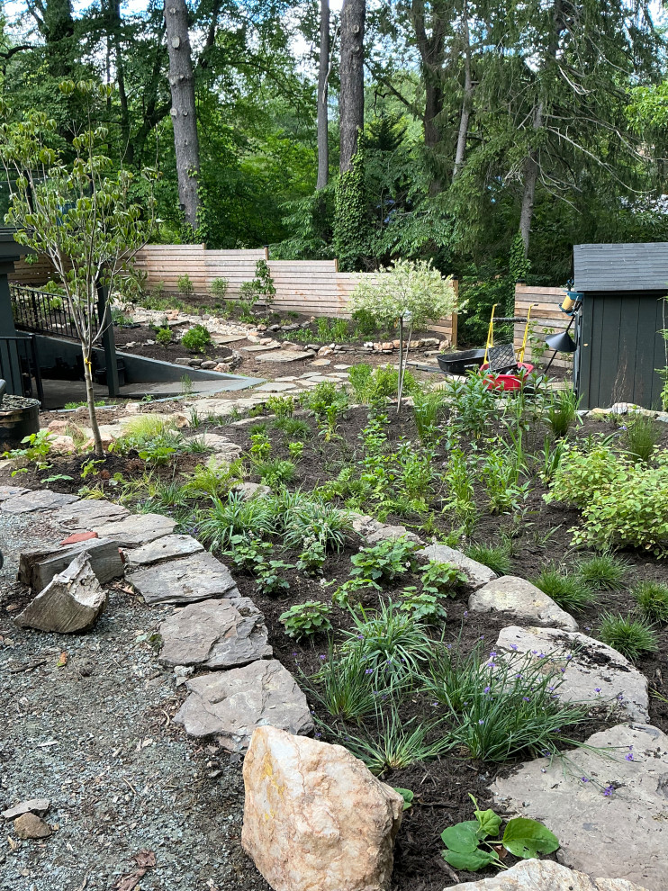 Conservation and rain gardens landscape